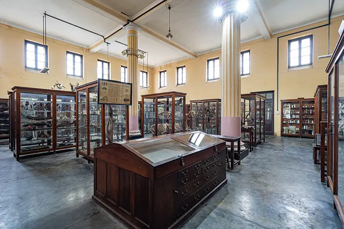 interior2
